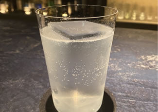 ソルティドッグ